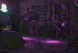 video of last live show