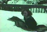 video footage