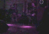 video of last live show